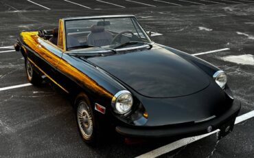 Alfa-romeo-Spider-1976-89434-3