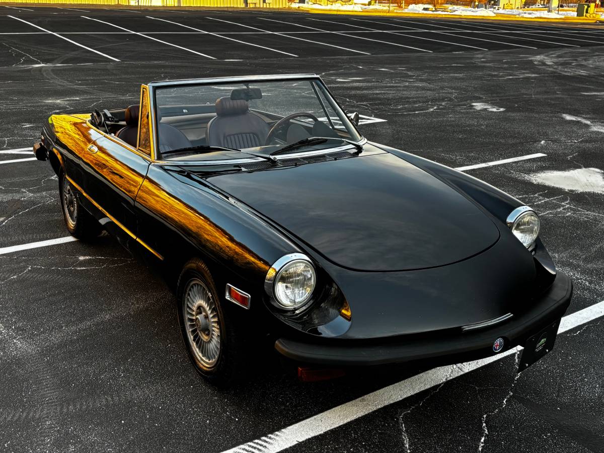 Alfa-romeo-Spider-1976-89434-3