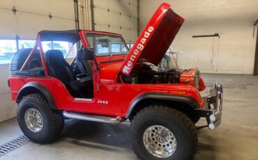 Amc-Jeep-cj5-1976-red-16092-1