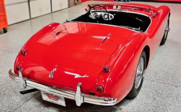 Austin-Healey-100-1955-Red-Black-0-14