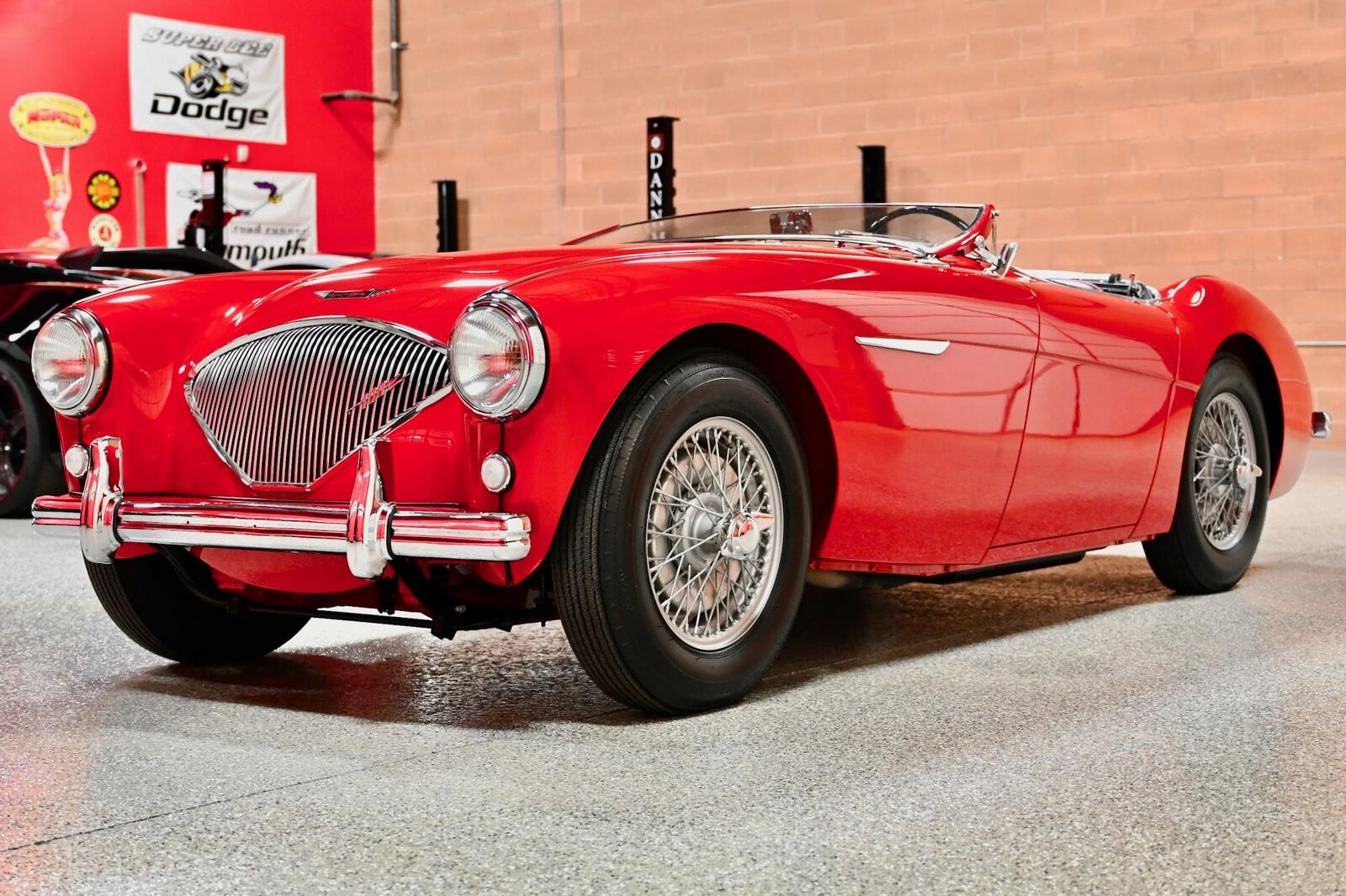 Austin-Healey 100  1955