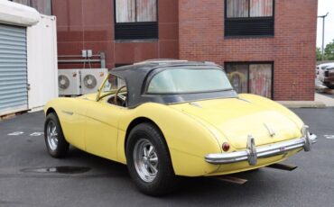 Austin-Healey-100-4-BN1-1954-Yellow-Black-0-5