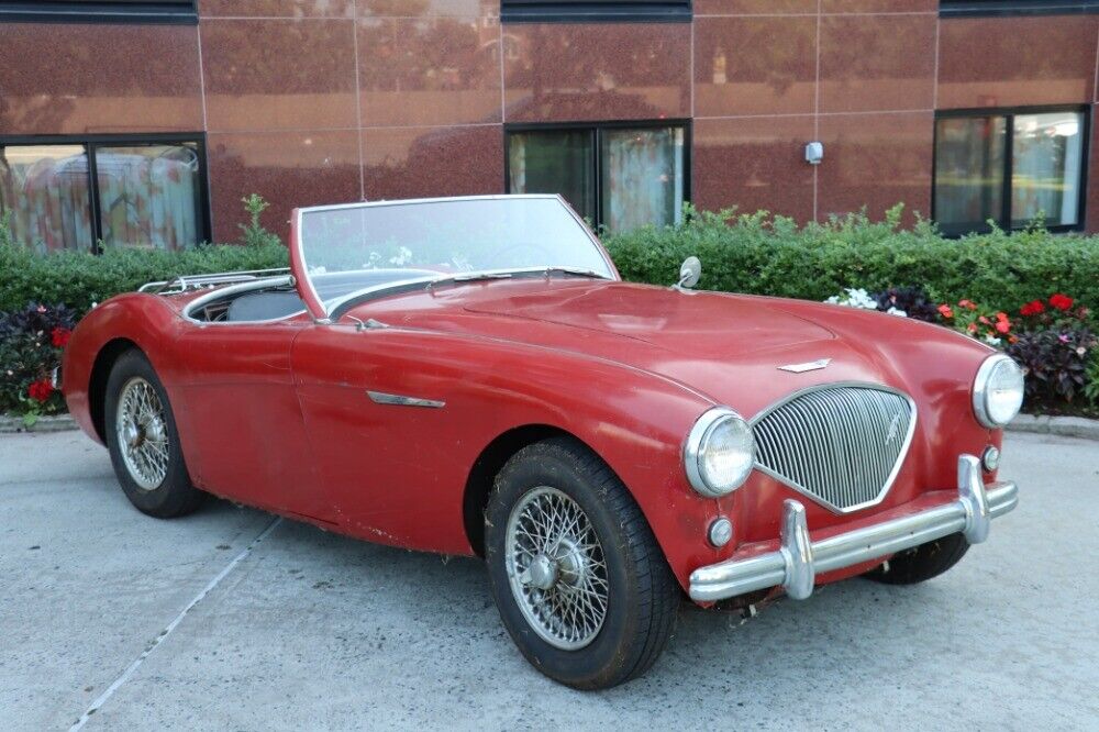 Austin-Healey 100-4 BN1  1955