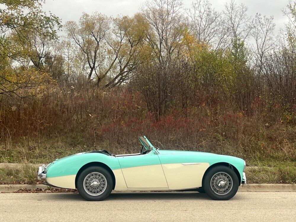 Austin-Healey-100-4-BN2-1956-2