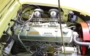 Austin-Healey-100-6-BN6-1959-Yellow-Black-0-7