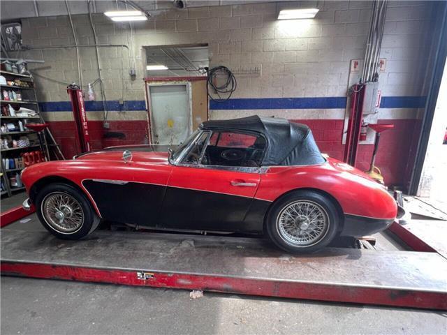 Austin-Healey-3000-MKII-BJ7-1963-4