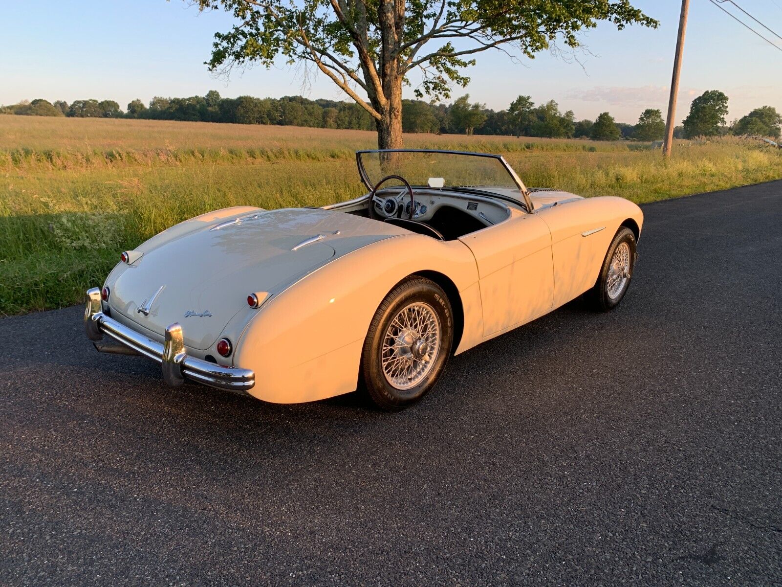 Austin-Healey-Other-Cabriolet-1956-1