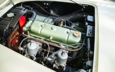 Austin-Healey-Other-Cabriolet-1956-12