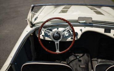 Austin-Healey-Other-Cabriolet-1956-6