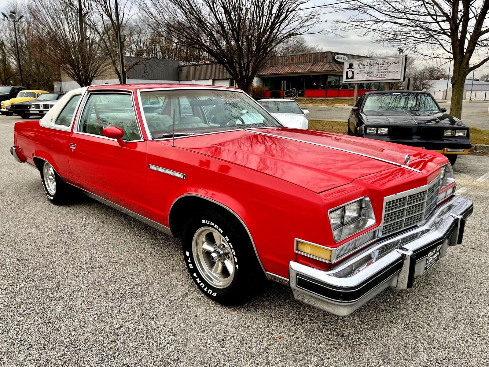 Buick-Electra-1977-1