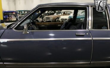 Buick-Park-Avenue-Coupe-1984-Blue-Blue-63276-9