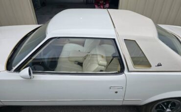 Buick-Regal-1977-white-51948-4