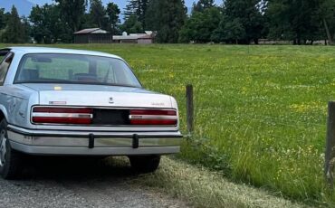 Buick-Regal-1988-silver-72420-14