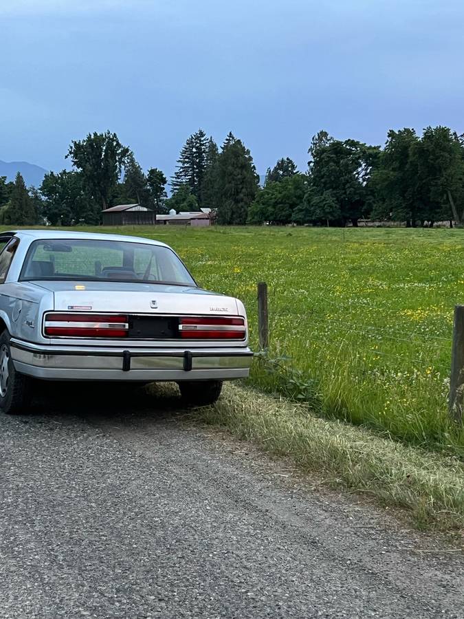 Buick-Regal-1988-silver-72420-14