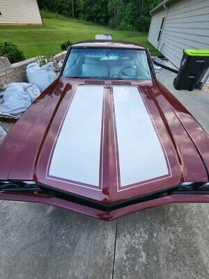 Buick-Skylark-Coupe-1973-Burgundy-White-19312-2