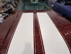 Buick-Skylark-Coupe-1973-Burgundy-White-19312-7