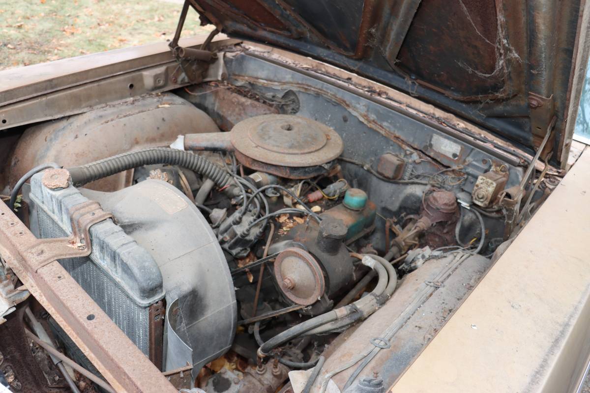 Buick-Special-1968-brown-27615-5