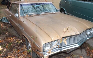 Buick-Special-1968-brown-27615-9