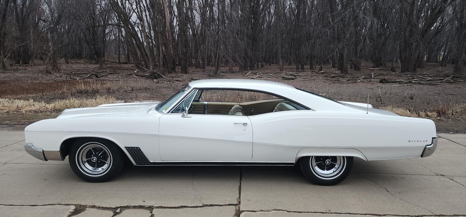 Buick-Wildcat-1967-1