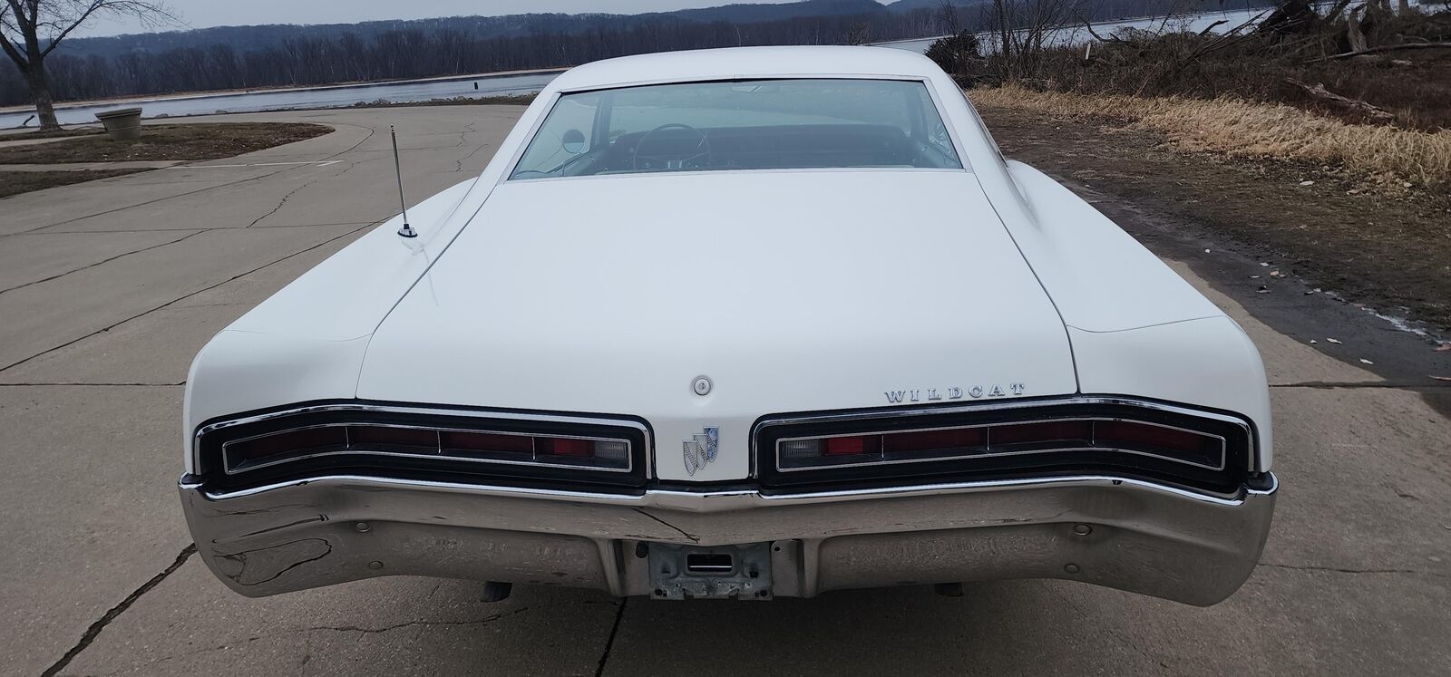 Buick-Wildcat-1967-White-Gold-164966-10