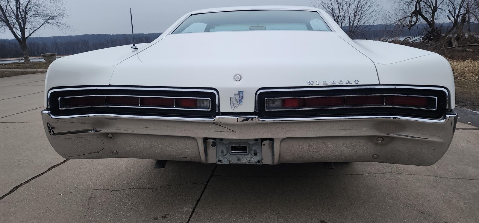 Buick-Wildcat-1967-White-Gold-164966-12