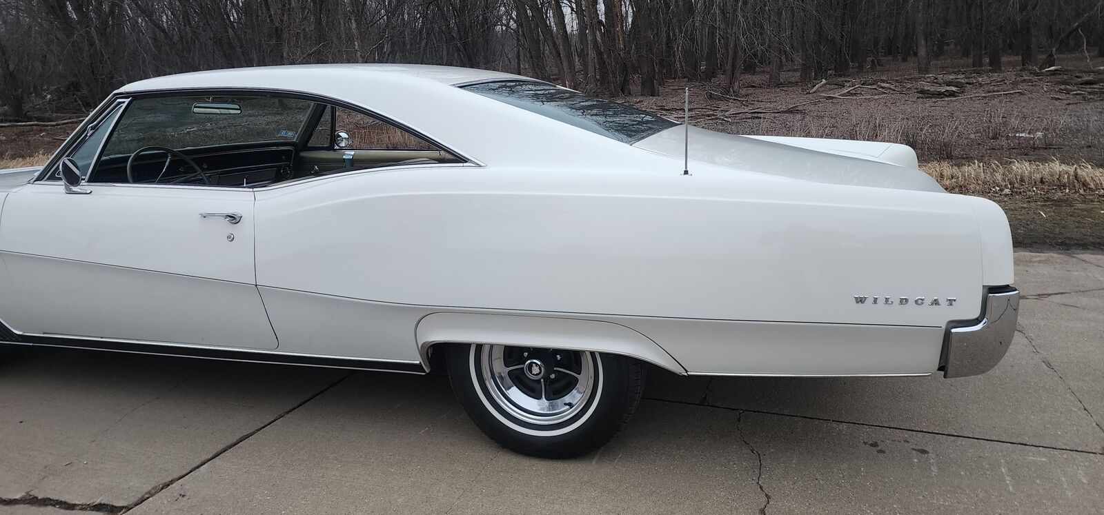 Buick-Wildcat-1967-White-Gold-164966-14