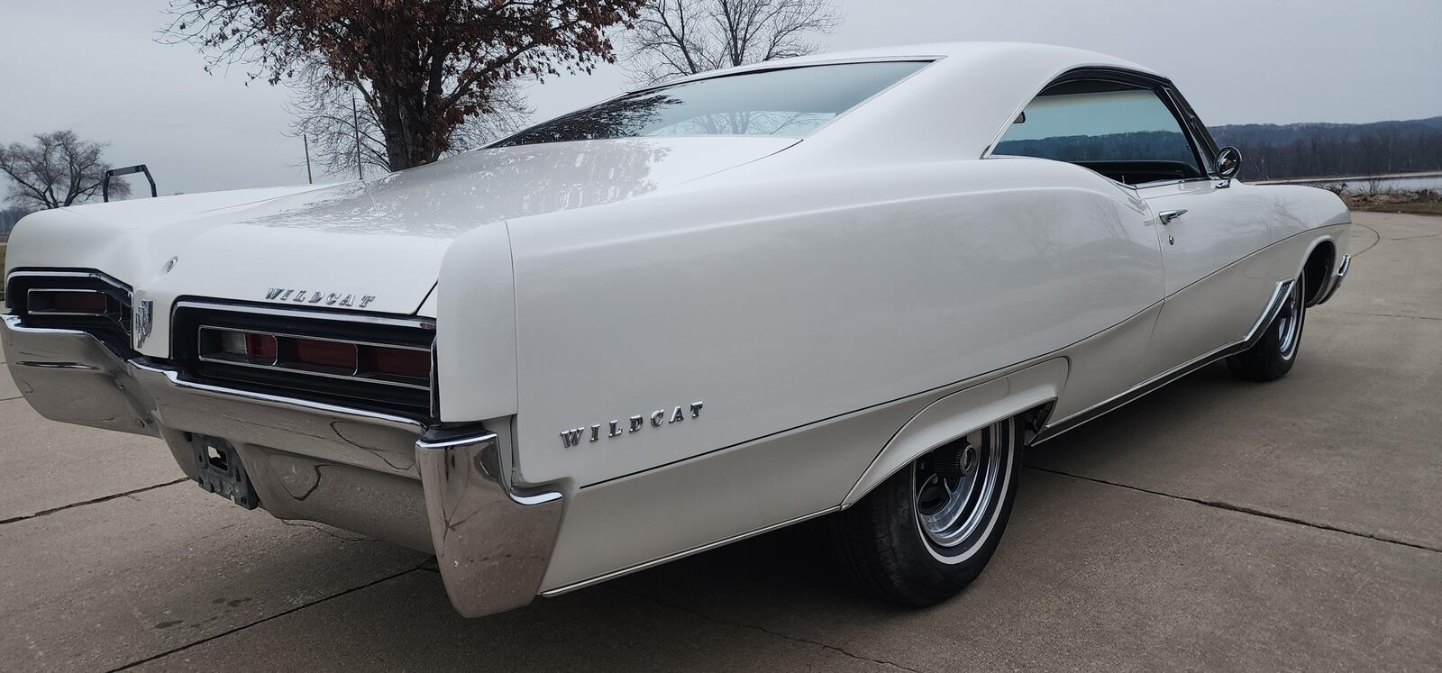 Buick-Wildcat-1967-White-Gold-164966-9