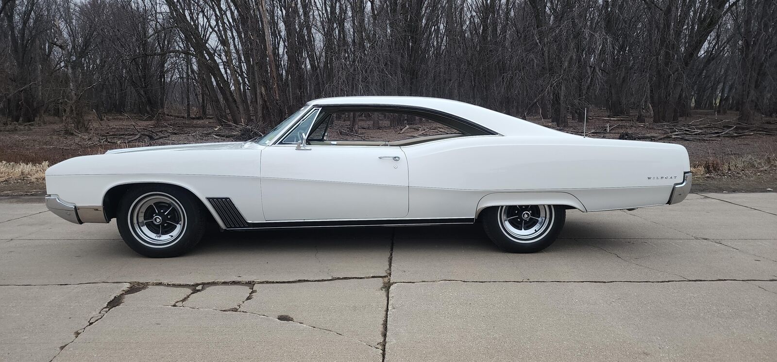 Buick Wildcat 1967