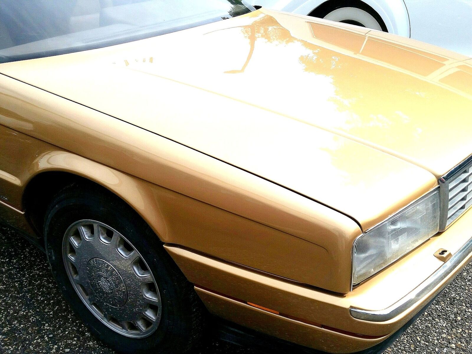 Cadillac-Allante-1987-Gold-Gold-116780-14