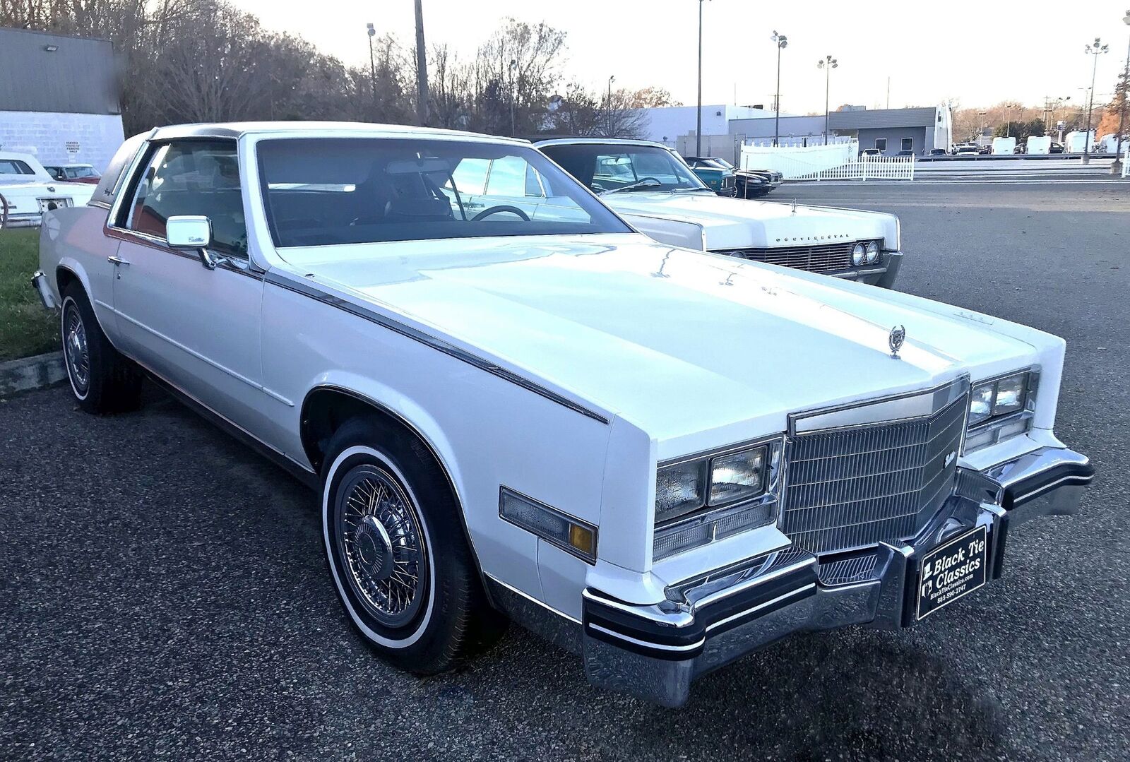 Cadillac-Eldorado-1985-White-Blue-92087-5