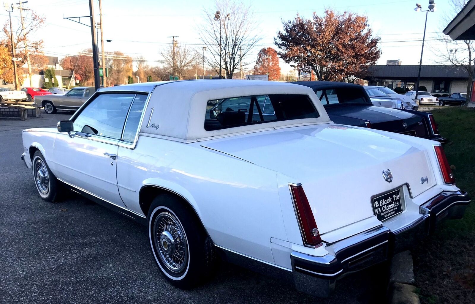 Cadillac-Eldorado-1985-White-Blue-92087-6