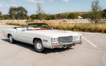 Cadillac-Eldorado-Cabriolet-1976-White-White-4590-12