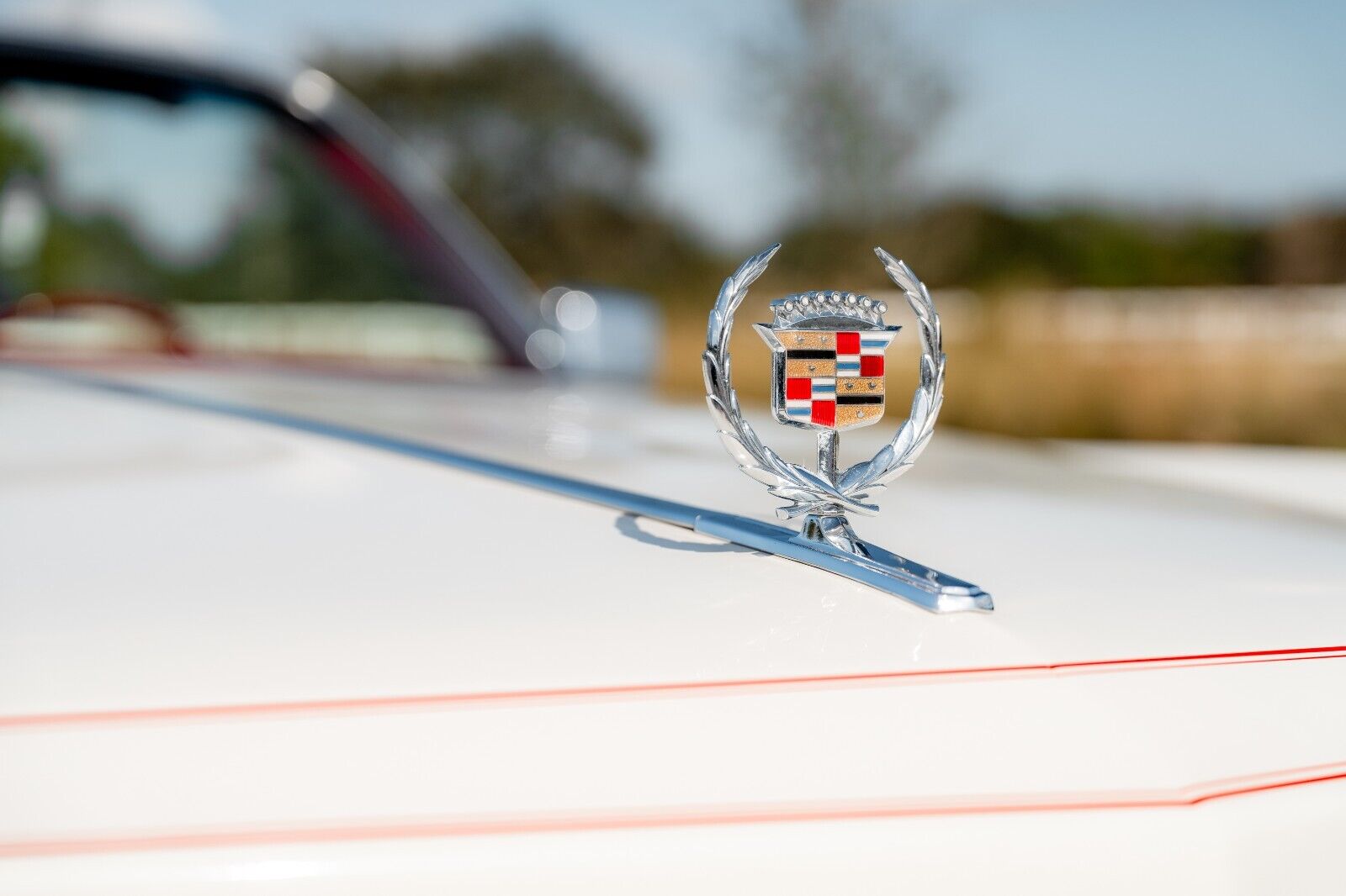 Cadillac-Eldorado-Cabriolet-1976-White-White-4590-14