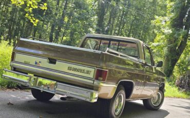 Chevrolet-12-ton-pickups-1984-brown-160934-1