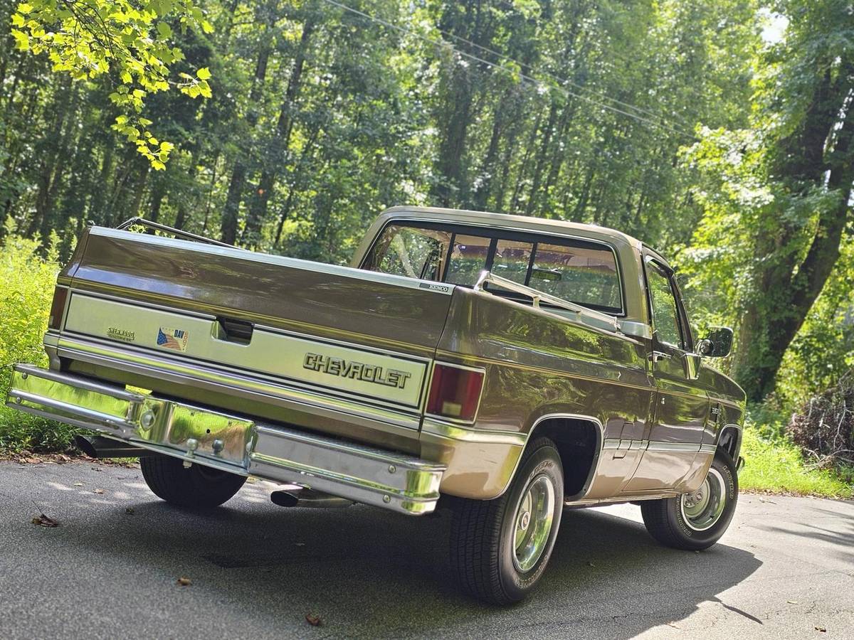 Chevrolet-12-ton-pickups-1984-brown-160934-1