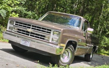 Chevrolet-12-ton-pickups-1984-brown-160934-3