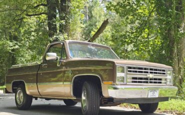 Chevrolet-12-ton-pickups-1984-brown-160934