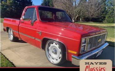 Chevrolet-12-ton-pickups-1987