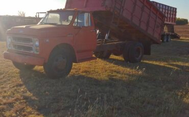 Chevrolet-1969-orange-144841-3