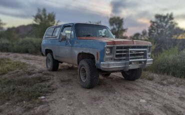 Chevrolet-1979-blue-83686-1