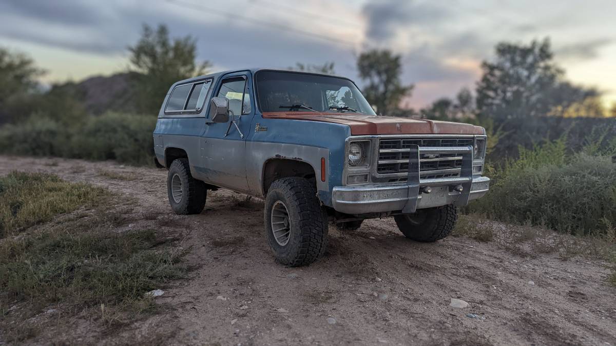 Chevrolet-1979-blue-83686-1