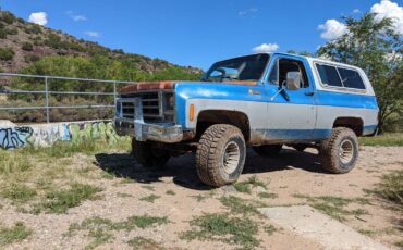 Chevrolet-1979-blue-83686-2