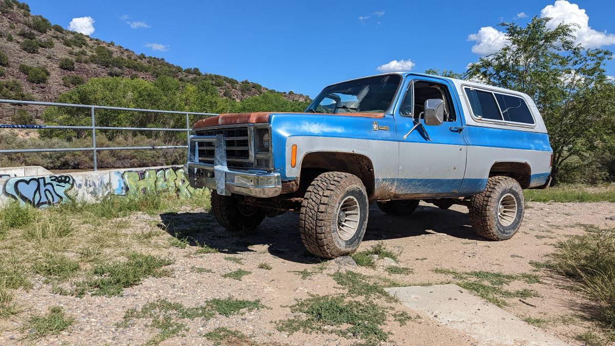 Chevrolet-1979-blue-83686-2