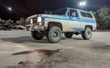 Chevrolet-1979-blue-83686-3