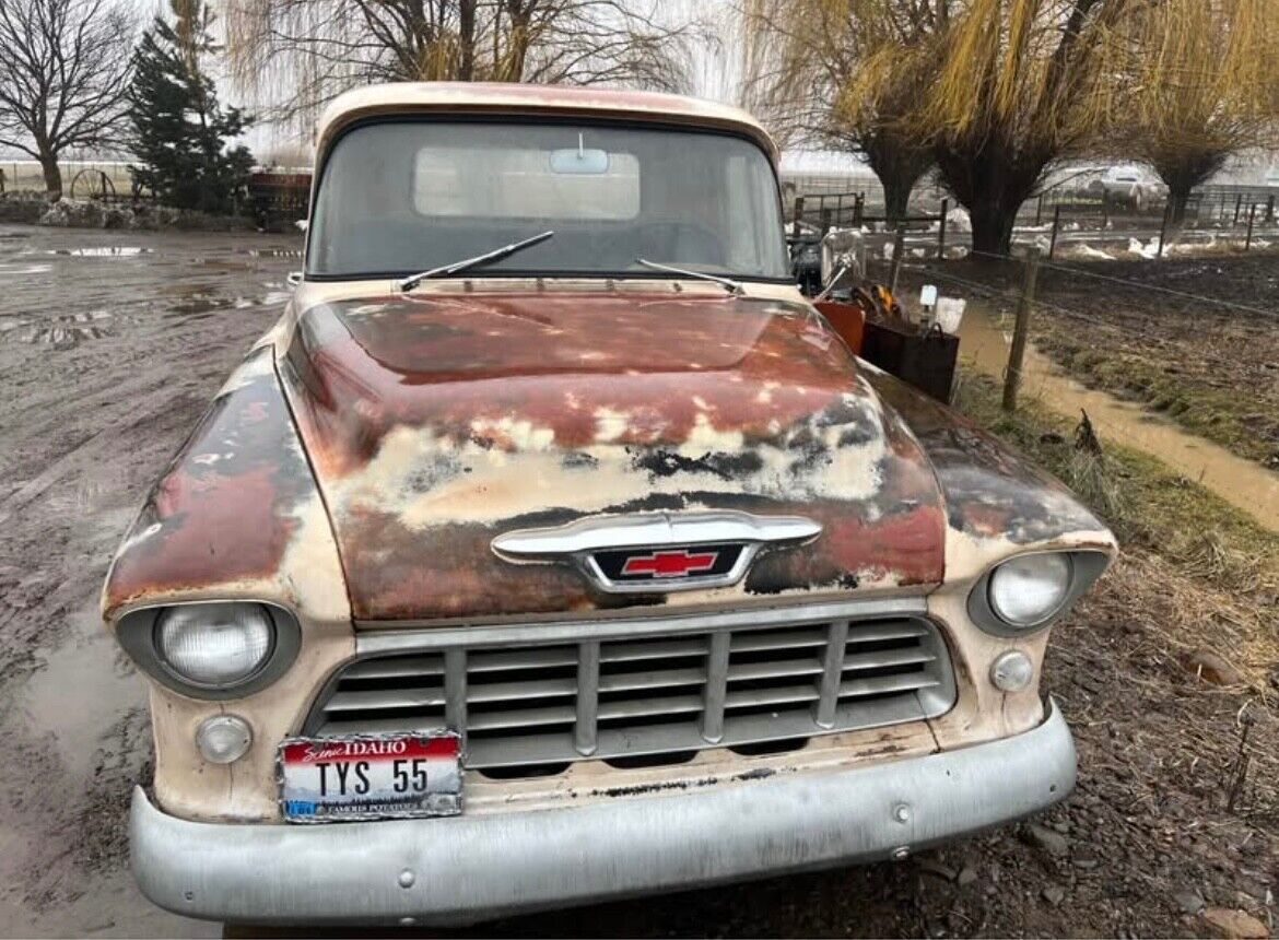 Chevrolet-3600-pickup-Pickup-1955-beige-and-green-beige-and-black-151451-1