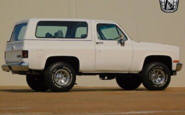 Chevrolet-Blazer-1989-White-Gray-11372-5