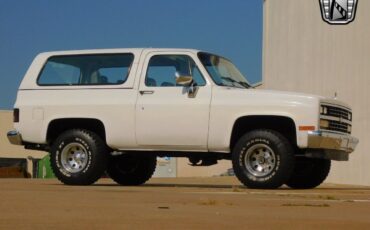 Chevrolet-Blazer-1989-White-Gray-11372-6