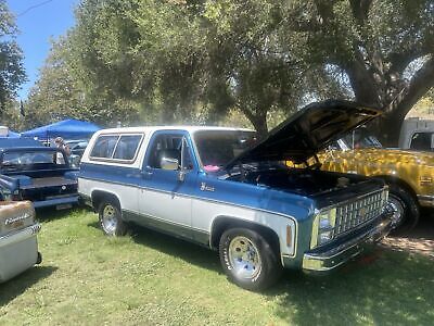 Chevrolet-Blazer-SUV-1980-Blue-120701-13