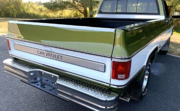 Chevrolet-C-10-1973-LIME-GREEN-AVOCADO-59551-31