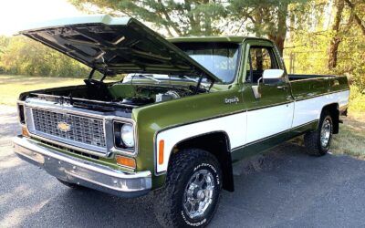 Chevrolet C-10 1973 à vendre